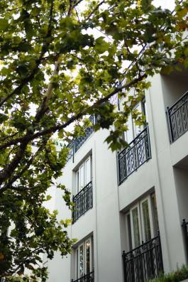 Adam Gibson — Photographer