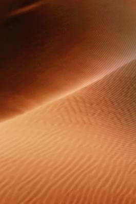 Adam Gibson — Photographer