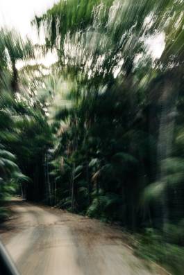 Adam Gibson — Photographer