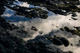 Adam Gibson — Photographer