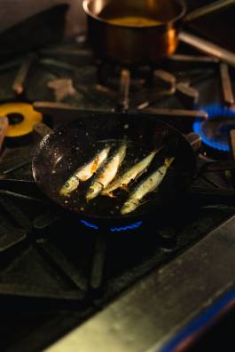 Adam Gibson — Photographer