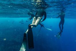 Adam Gibson — Photographer