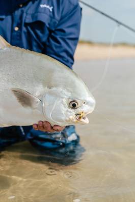 Adam Gibson — Photographer