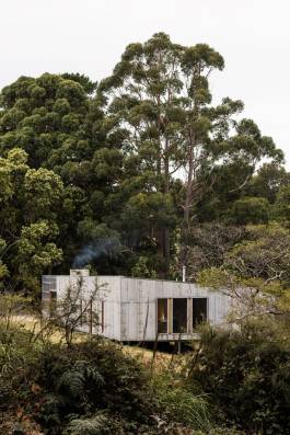 Adam Gibson — Photographer