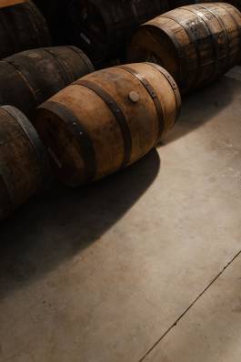 Adam Gibson — Photographer