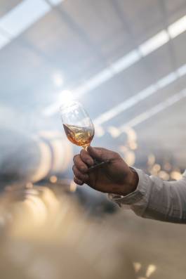 Adam Gibson — Photographer