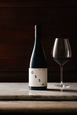 Adam Gibson — Photographer