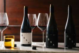 Adam Gibson — Photographer