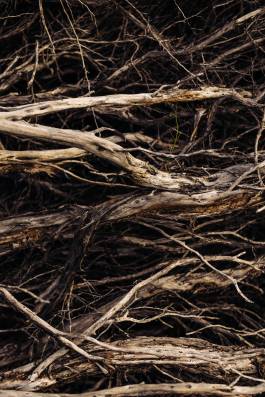 Adam Gibson — Photographer