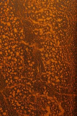 Adam Gibson — Photographer