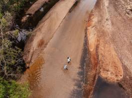 Adam Gibson — Photographer