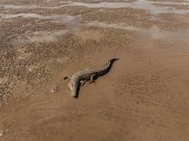 Adam Gibson — Photographer