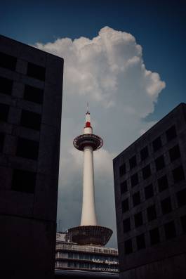 Adam Gibson — Photographer